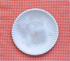 Paper plate on a red checkered cloth