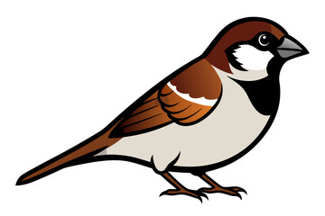 Detailed Sparrow on White Background
