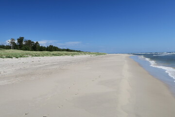 Dünen reichen in Sandhammeren in Ystad an den Ostseestrand in Schweden. Dahinter ist eine Baumreihe zu sehen. Es ist ein sonniger Sommertag, und am Himmel sind nur wenige Wolken. 