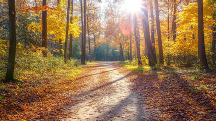 A charming park in autumn with vibrant fall colors, a peaceful walking trail covered in leaves, and sunlight filtering through the trees.