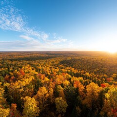 Fototapeta premium Aerial view of a vast forest with colorful autumn leaves and a clear blue sky.