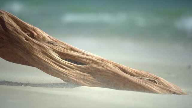 spectacular shot of a tree trunk on a lonely and paradisiacal beach in slowmotion