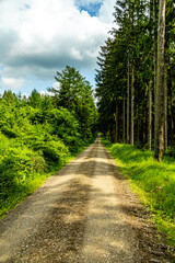 Fototapeta premium Eine wunderschöne frühlingshafte Wanderung rund um den Pleß Berg & der Burgruine Frankenberg bei Breitungen - Thüringen - Deutschland