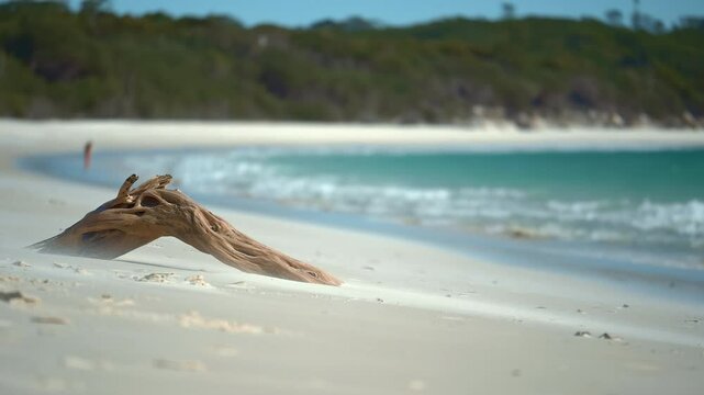 spectacular shot of a tree trunk on a lonely and paradisiacal beach in slowmotion