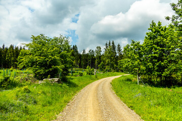 Eine wunderschöne frühlingshafte Wanderung rund um den Pleß Berg & der Burgruine Frankenberg bei Breitungen - Thüringen - Deutschland