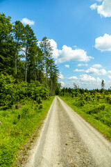 Eine wunderschöne frühlingshafte Wanderung rund um den Pleß Berg & der Burgruine Frankenberg bei Breitungen - Thüringen - Deutschland