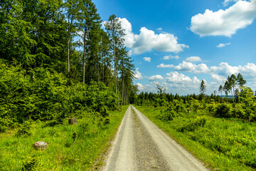 Eine wunderschöne frühlingshafte Wanderung rund um den Pleß Berg & der Burgruine Frankenberg bei Breitungen - Thüringen - Deutschland