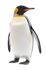 Emperor Penguin on White Background, Photo Realistic, Wallpaper, Cover and Screen for Smartphone, PC, Laptop, 9:16 and 16:9 Format
