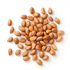 Peanut seeds, kitchen ingredient element, realistic 3D render, zesty brown, isolated on white background