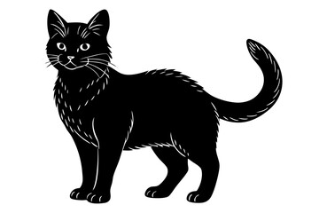 black cat vector