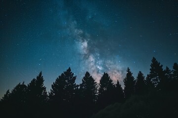 Fototapeta premium Breathtaking Milky Way Over a Serene Forest Under a Starry Sky