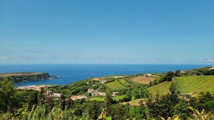 Azores Farmland