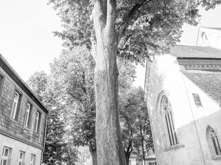 Fototapeta premium Billerbeck in den Baumbergen