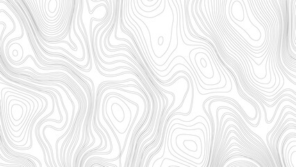 Fototapeta premium Black and white abstract background vector, Topographic background and texture, monochrome image. 3D