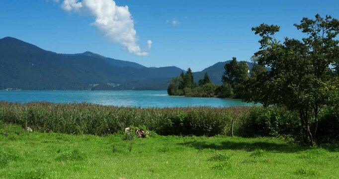 Seenlandschaft in den Bayerischen Voralpen. Am Westufer des Walchensees trennt eine kleine Bucht zwischen Halbinsel Zwergern und Seestrasse