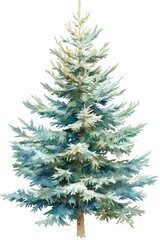 Fototapeta premium Christmas Tree Clipart. Watercolor Illustration of Merry Christmas Ornament on White Background