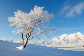 A lone tree stands covered in frost, its branches reaching towards a clear blue sky. Snow-covered mountains rise in the distance, creating a serene and peaceful winter scene. The image symbolizes tran