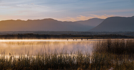 Sunrise over Grand Codroy River