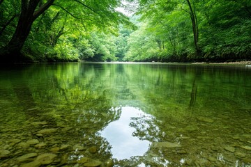 Obraz premium A serene river flows through a lush forest, its surface mirroring the vibrant green canopy above. The clear water reveals a bed of smooth, round stones, adding to the tranquil atmosphere. This image e