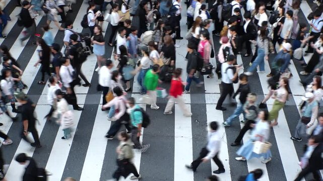 Aerial high angle view of crowd of people walking at the zebra crossing in Japan. Japanese people, ethnicity, population and diversity concept video. Blurred slow motion shot.