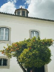 House with orange tree in Portugal 