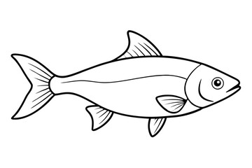 fish on white background