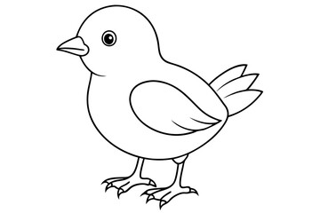 bird