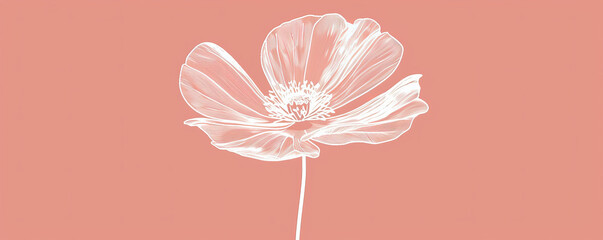 A simple white line drawing on a pink background of a flower with delicate petals. The contrast brings out the softness and beauty of the bloom.