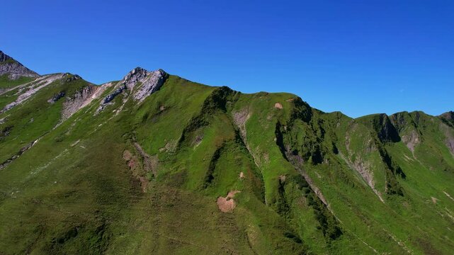 4K Aerial Drone video of the most beautiful mountain lake Schrecksee in Bavarian Alps with the cows feeding on lush green grass on a sunny day with blue skies and rocky hill tops surrounding