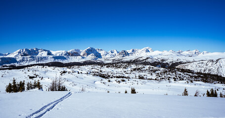 Fototapeta premium Ski tracks leading toward the Snow covered Canadian Rocky Mountains