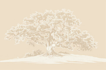 A simple white line drawing on a cream background of a tree with a thick trunk and lush foliage. The neutral tones emphasize the strength and stability of the tree.