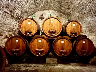 wine cellar with barrels