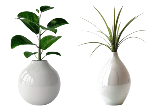 Plant vase isolated on transparent background, set of