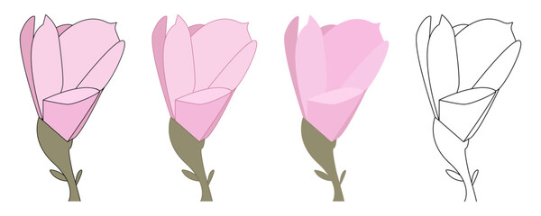 A pink flower illustration. A pink flower in different styles. An isolated pink flower.