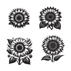 Rosemary Silhouette Vector Set , Black and White Rosemary Silhouette Collection, Rosemary Herb Silhouettes set