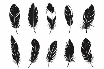 Feather icon, animal feathers isolated, black plume symbol, minimal plume silhouette on white
