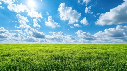 Fototapeta premium Vast field of green grass under a bright blue sky dotted with fluffy white clouds. Tranquil and serene landscape.