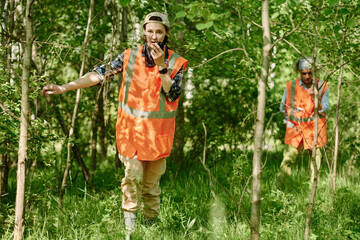 Young female volunteer in casualwear and safety vest walking among trees in the forest and talking on radio set while looking for lost hikers