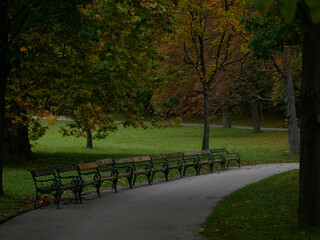 Benches in the shade of trees. Park Turkenschanzpark in Vienna in autumn