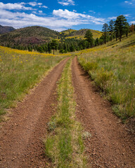 Obraz premium Amazing roadways and open roads in Arizona, America, USA.