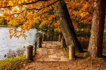 Autumn foliage in Catherine park, Pushkin (Tsarskoe Selo), Saint Petersburg, Russia