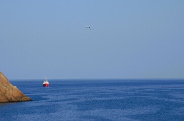 ship on the horizon and a seagull in the sky