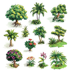 Green Trees and Plants Illustration, Nature Botanical Art, Tropical Trees, Garden Foliage, Plant Collection, Nature Scene, Greenery