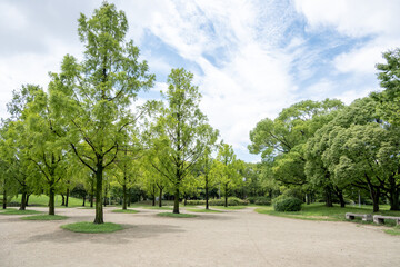 Background texture of a serene park scene, green trees dotting the landscape, dirt path winding through, fluffy white clouds scattered across a bright sky.