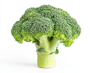broccoli on a white background