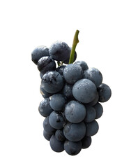 Fototapeta premium bunch of grapes png, buch of grapes isolated with transparent background.4k