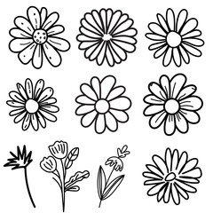 Black flowers bouquet, Vector illustration outlinne image , Hand-drawn botanical lines art flower, Minimalist contour drawing of flower. line drawing of flower botany.