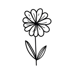 Vector black flowers icon, illustration outline image , Botanical lines art flower, Minimalist contour drawing of flower. line drawing of flower botany. Hand-drawn sketch of flower with leaves.	
