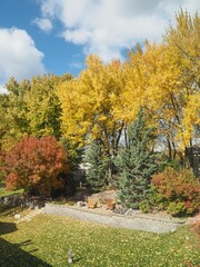 Naklejka premium autumn in the park