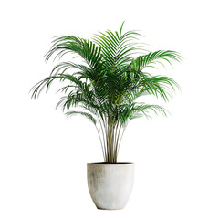 Obraz premium Potted Palm Plant Illustration, Indoor Greenery, Tropical Home Decor, Botanical Digital Art, Houseplant Wall Art, Green Leaves